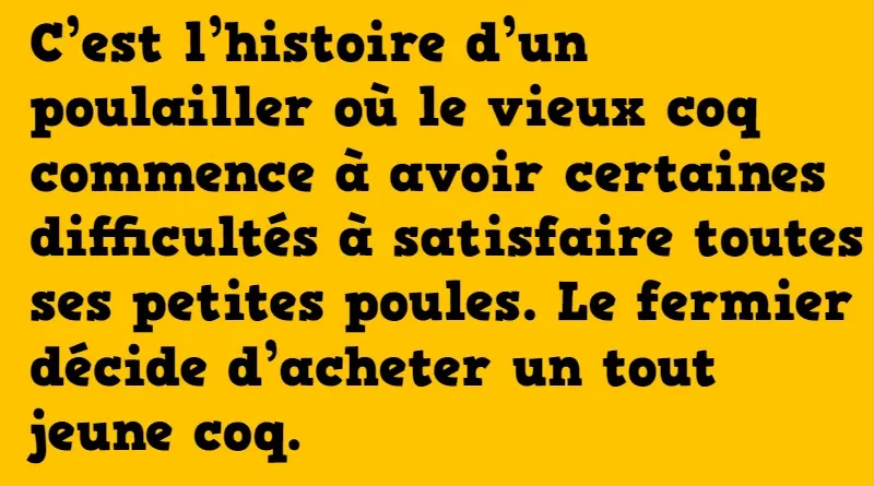 blague le jeune coq et le vieux coq