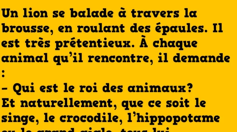 blague le roi des animaux