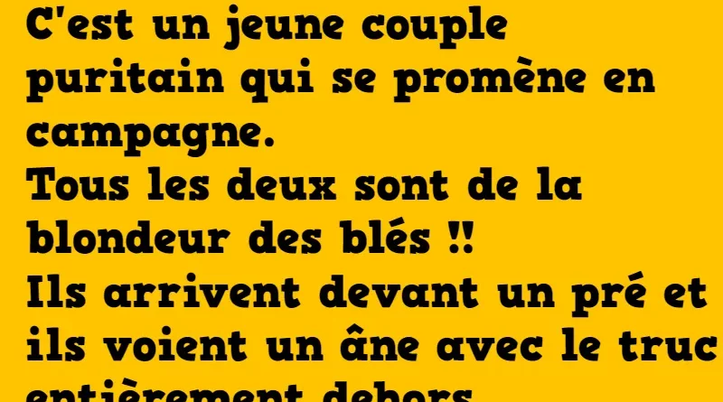 blague le truc de l'âne