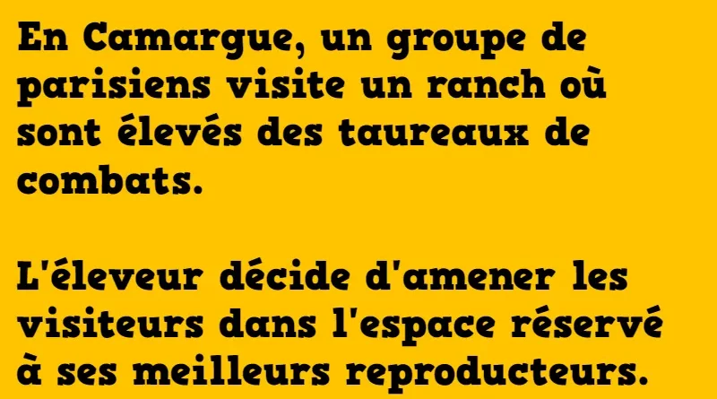 blague un groupe de parisiens dans un ranch