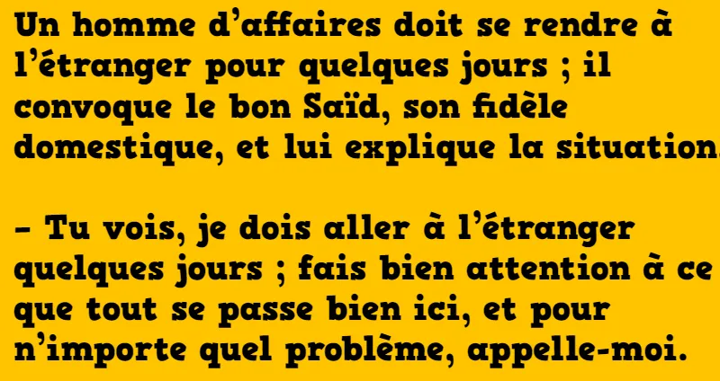 blague un homme d'affaire part à l'étranger