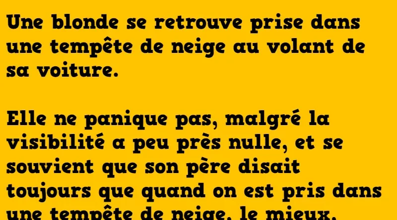 blague une blonde prise dans une tempête de neige