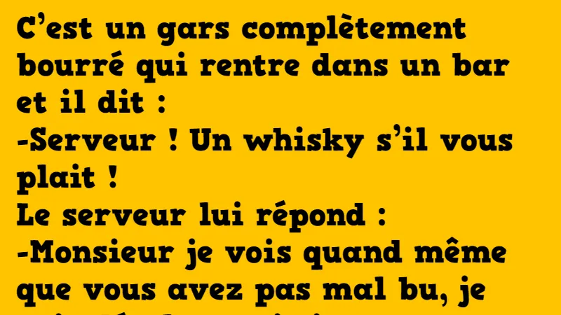 Un Gars Complètement Bourré Entre Dans Un Bar ! - Grands Mères