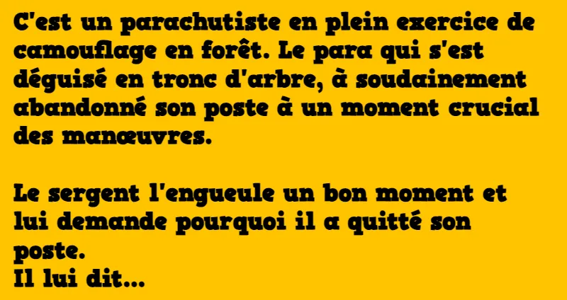 blague un parachutiste en plein exercice de camouflage