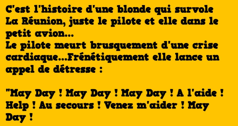 blague une blonde aux commandes