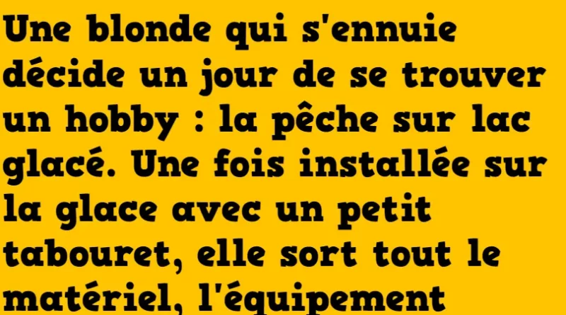 blague une blonde décide de se trouver un nouvel hobby