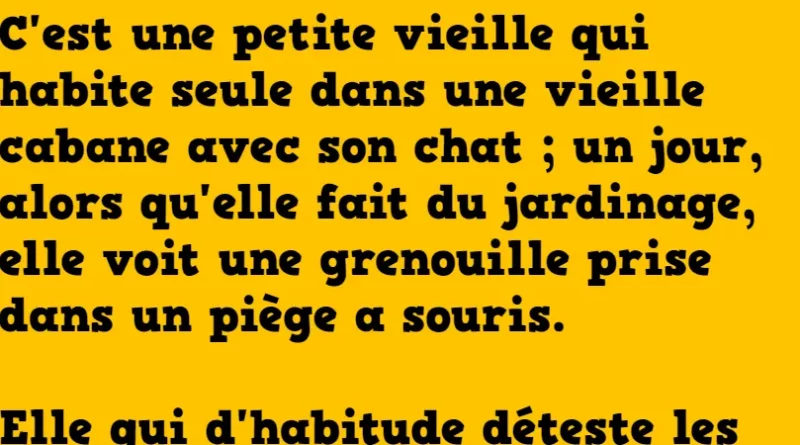 blague une petite vieille habite seule dans une cabane