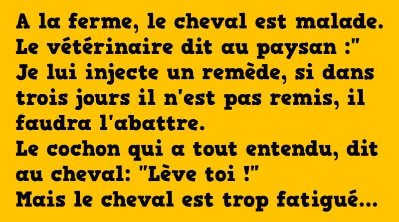 blague-à-la-ferme-le-cheval-est-malade