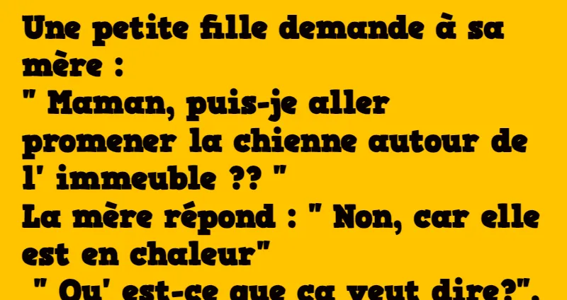 blague belle est tombée en panne