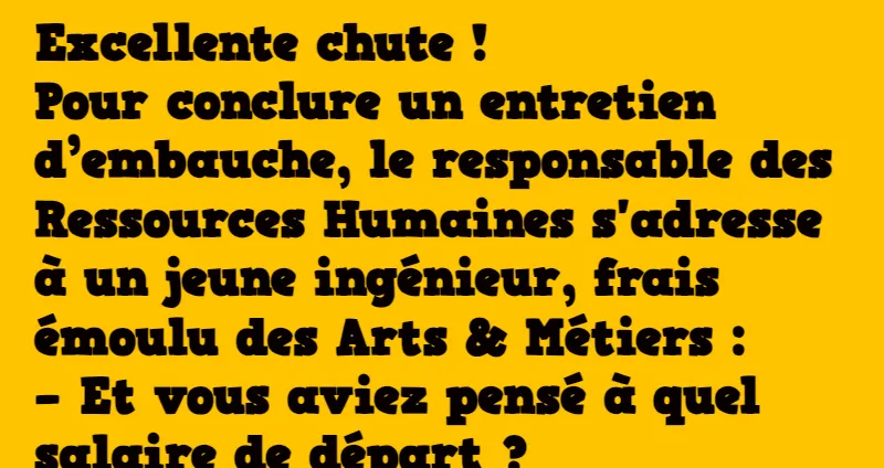 blague entretien d'embauche à la française