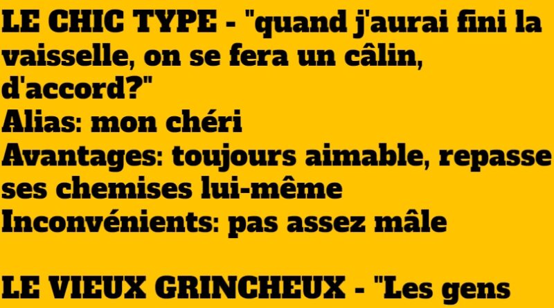 blague 9 types de compagnons