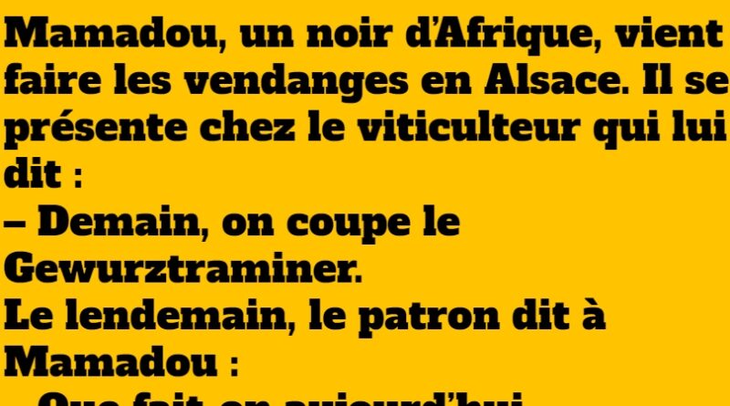 blague un africain vendangeur