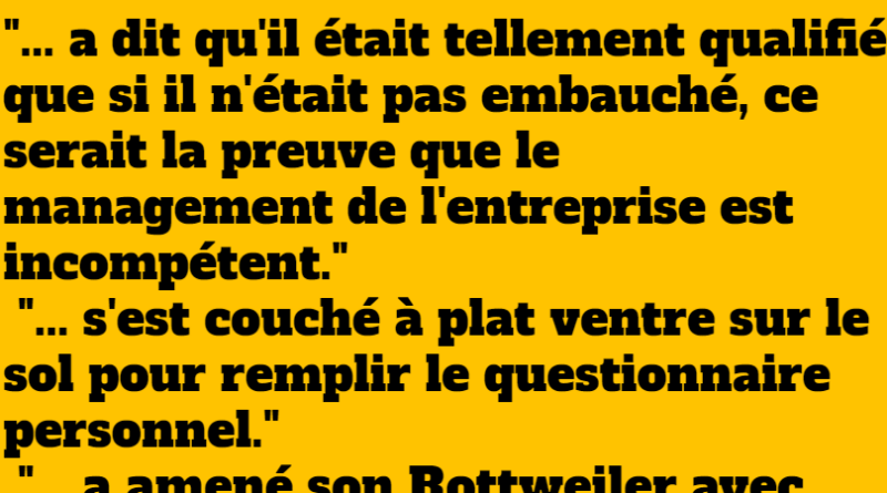 blague les perles du recrutement