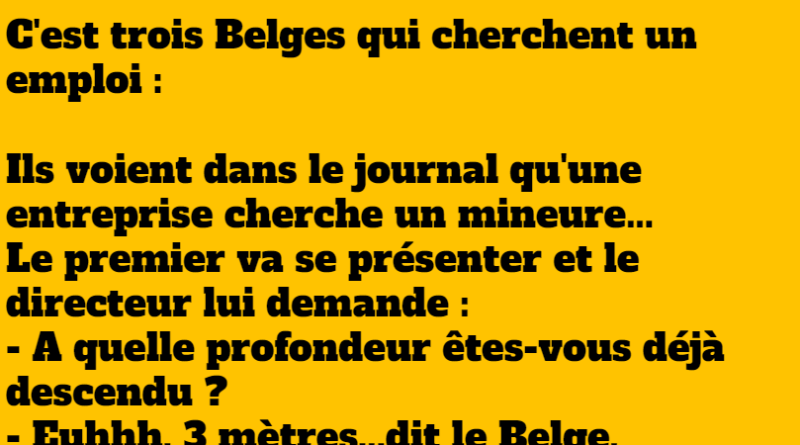 blague 3 belges