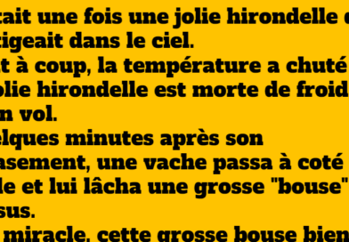 Il était une fois une jolie hirondelle…