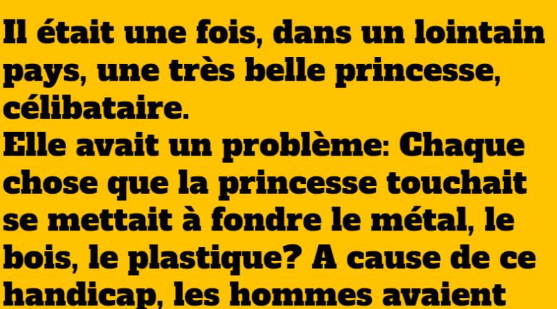 blague la princesse malade