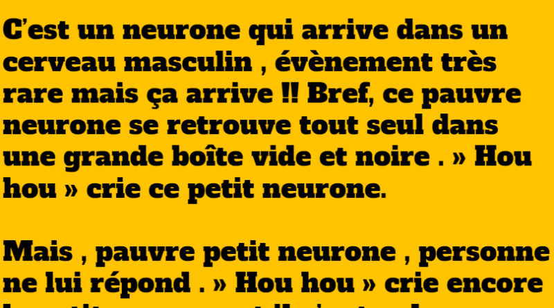 blague le pauvre neurone masculin