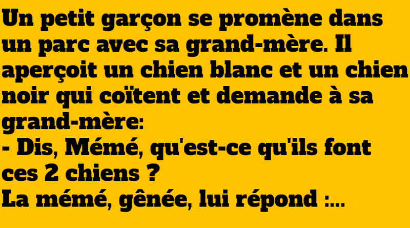 blague les deux chiens