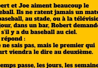 blague baseball (1)