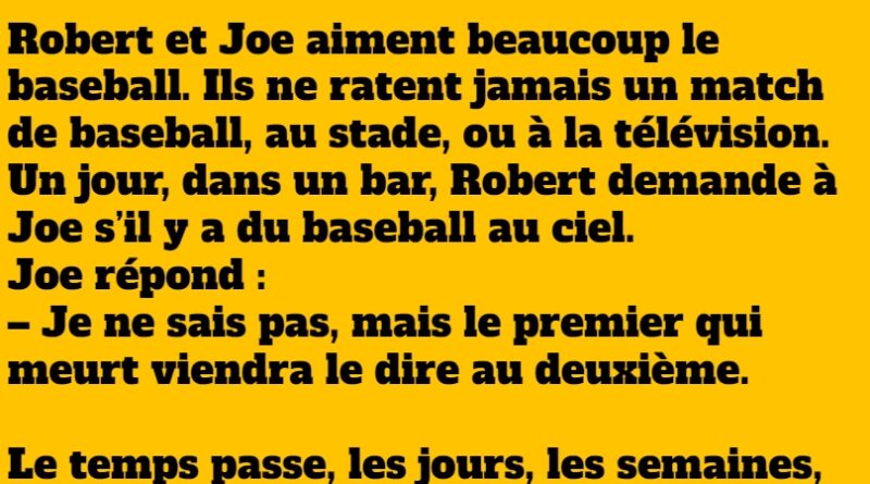 blague baseball (1)