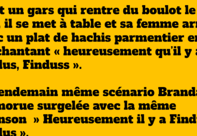 blague findus