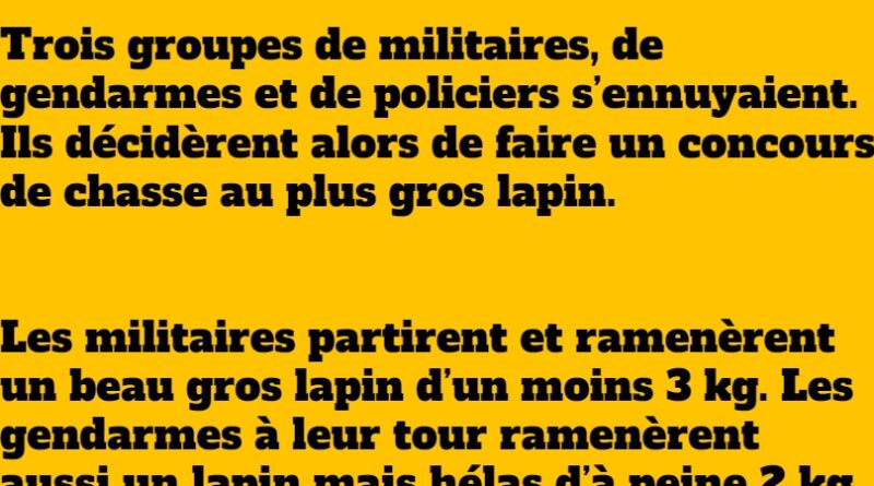 blague la chasse aux lapins