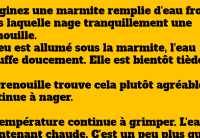 blague la grenouille et la marmite