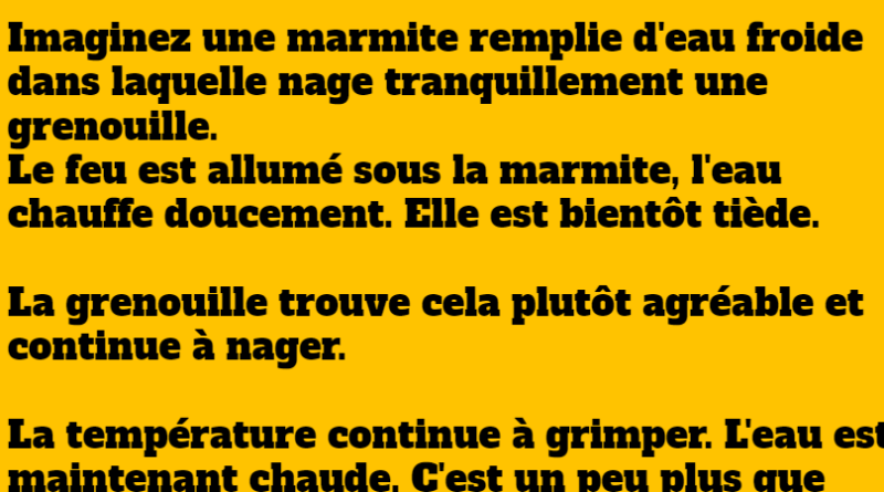 blague la grenouille et la marmite