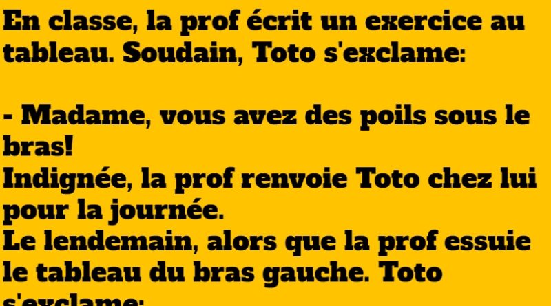 blague toto visionnaire