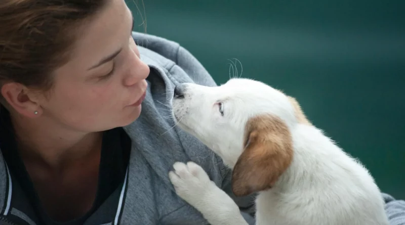 femme aime chien plus que partenaire