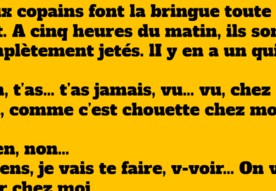 blague Dans la vie,