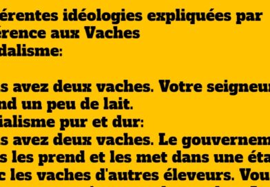 Les idéologies expliquées par référence aux Vaches