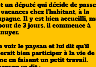 blague le député