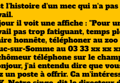 blague l'histoire d'un mec qui cherche du travail