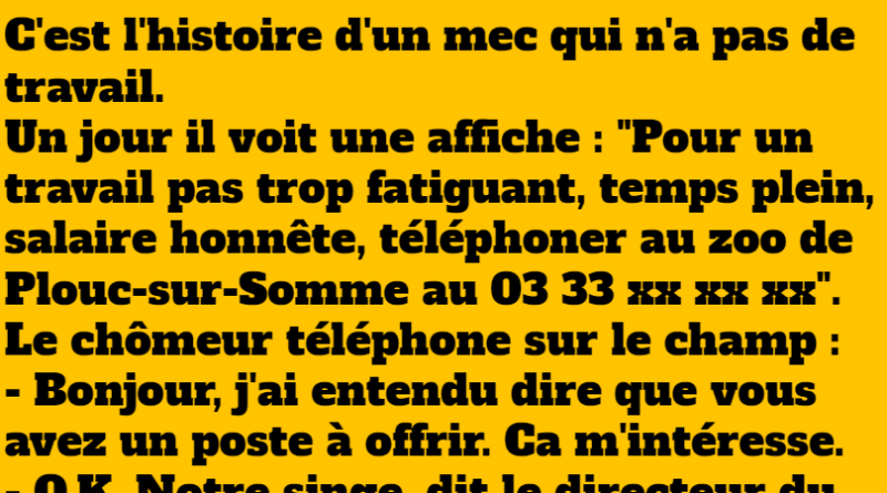 blague l'histoire d'un mec qui cherche du travail