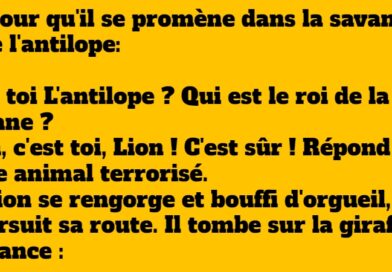 blague lion vaniteux