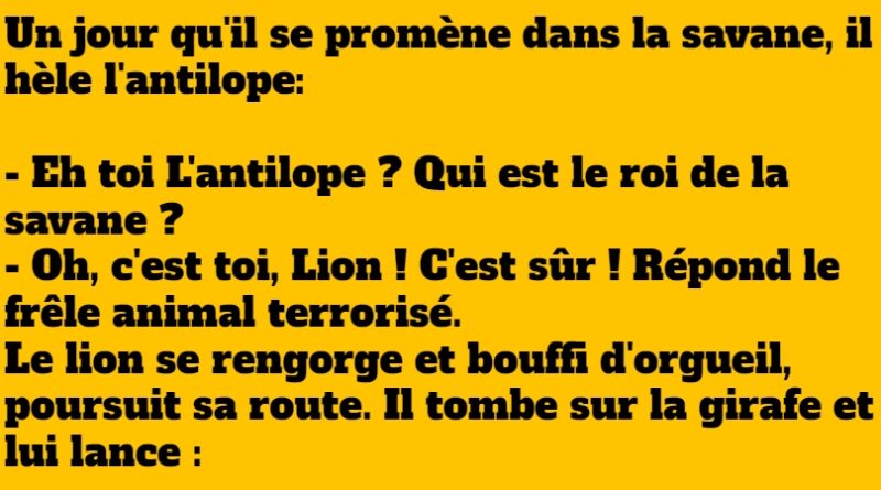 blague lion vaniteux