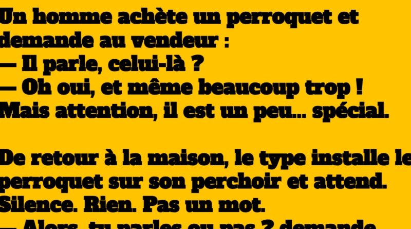 blague le perroquet voix fatiguée