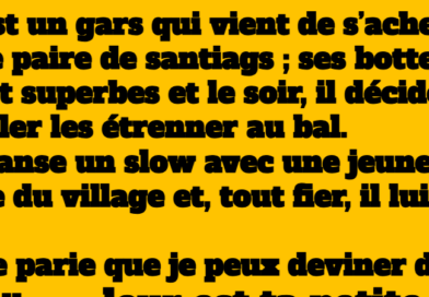 blague santiags qui brillent