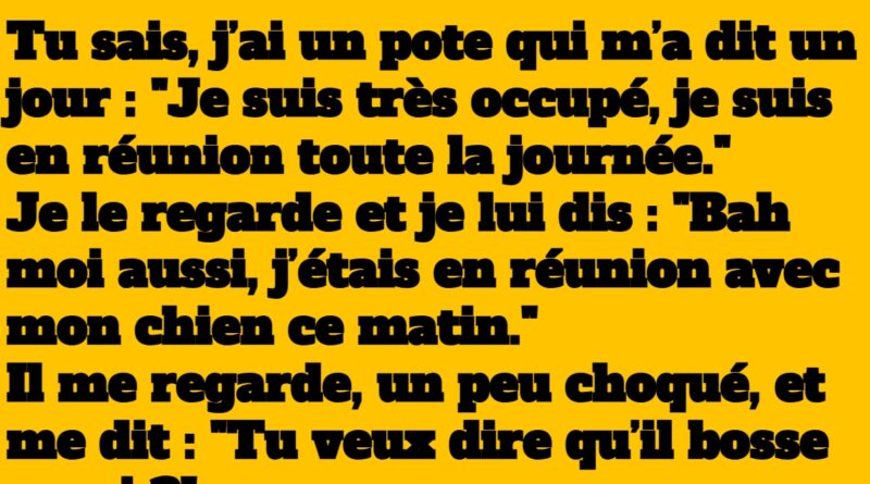 blague un chien négociateur