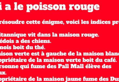 énigme qui a le poisson rouge