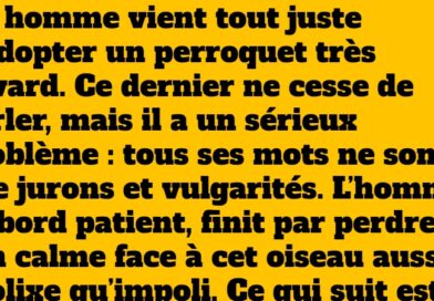 Un perroquet incorrigible transformé par une leçon inattendue