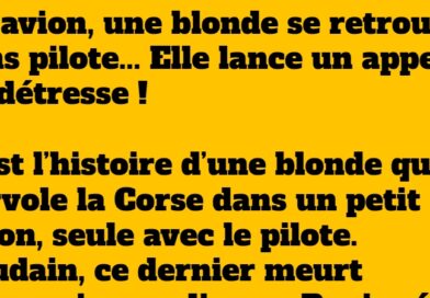 blague blonde en avion