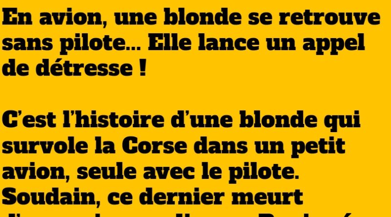 blague blonde en avion