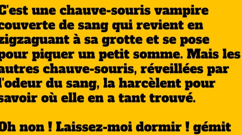 blague chauve souris