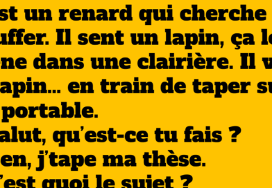 Le lapin, le renard et le directeur de thèse inattendu