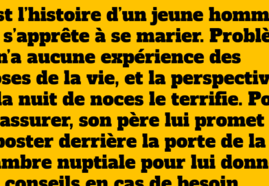 Une nuit de noces drôle et inattendue : Une histoire à la ferme