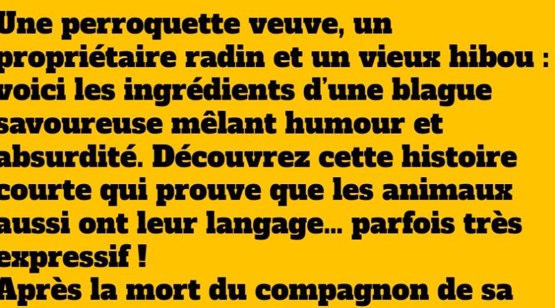 blague perroquette veuve