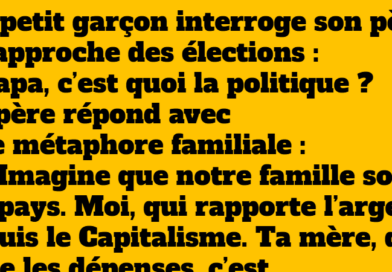 La politique expliquée aux enfants : Une allégorie familiale éclairante