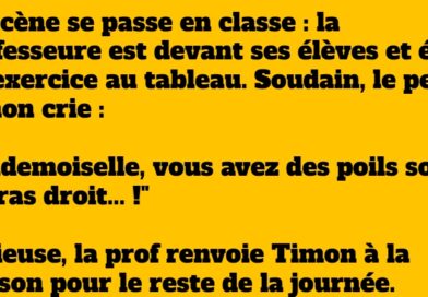 blague timon